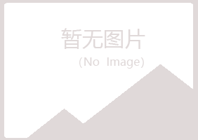 阳朔县雪青化学有限公司